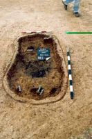 Cronica Cercetărilor Arheologice din România, Campania 2001. Raportul nr. 181.<br /> Sectorul Imagini-detaliu-necropola.