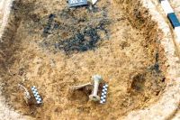 Cronica Cercetărilor Arheologice din România, Campania 2001. Raportul nr. 181.<br /> Sectorul Imagini-detaliu-necropola.