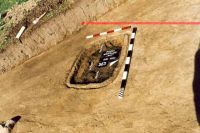Cronica Cercetărilor Arheologice din România, Campania 2001. Raportul nr. 181.<br /> Sectorul Imagini-detaliu-necropola.