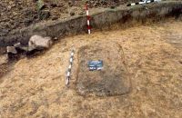 Cronica Cercetărilor Arheologice din România, Campania 2001. Raportul nr. 181.<br /> Sectorul Imagini-detaliu-necropola.