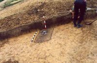 Cronica Cercetărilor Arheologice din România, Campania 2001. Raportul nr. 181.<br /> Sectorul Imagini-detaliu-necropola.
