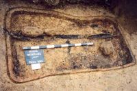 Cronica Cercetărilor Arheologice din România, Campania 2001. Raportul nr. 181.<br /> Sectorul Imagini-detaliu-necropola.