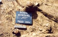 Cronica Cercetărilor Arheologice din România, Campania 2001. Raportul nr. 181.<br /> Sectorul Imagini-detaliu-necropola.