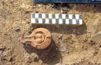Cronica Cercetărilor Arheologice din România, Campania 2001. Raportul nr. 181.<br /> Sectorul Imagini-detaliu-necropola.