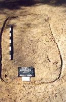 Cronica Cercetărilor Arheologice din România, Campania 2001. Raportul nr. 181.<br /> Sectorul Imagini-detaliu-necropola.