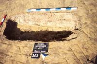 Cronica Cercetărilor Arheologice din România, Campania 2001. Raportul nr. 181.<br /> Sectorul Imagini-detaliu-necropola.