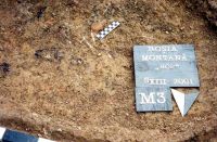 Cronica Cercetărilor Arheologice din România, Campania 2001. Raportul nr. 181.<br /> Sectorul Imagini-detaliu-necropola.