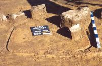 Cronica Cercetărilor Arheologice din România, Campania 2001. Raportul nr. 181.<br /> Sectorul Imagini-detaliu-necropola.