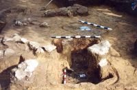 Cronica Cercetărilor Arheologice din România, Campania 2001. Raportul nr. 181.<br /> Sectorul Imagini-detaliu-necropola.