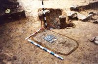 Cronica Cercetărilor Arheologice din România, Campania 2001. Raportul nr. 181.<br /> Sectorul Imagini-detaliu-necropola.