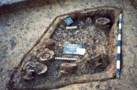 Cronica Cercetărilor Arheologice din România, Campania 2001. Raportul nr. 181.<br /> Sectorul Imagini-detaliu-necropola.
