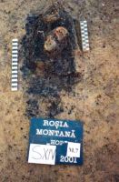 Cronica Cercetărilor Arheologice din România, Campania 2001. Raportul nr. 181.<br /> Sectorul Imagini-detaliu-necropola.