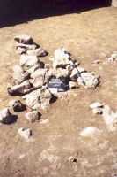 Cronica Cercetărilor Arheologice din România, Campania 2001. Raportul nr. 181.<br /> Sectorul Imagini-detaliu-necropola.