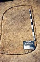 Cronica Cercetărilor Arheologice din România, Campania 2001. Raportul nr. 181.<br /> Sectorul Imagini-detaliu-necropola.