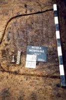 Cronica Cercetărilor Arheologice din România, Campania 2001. Raportul nr. 181.<br /> Sectorul Imagini-detaliu-necropola.