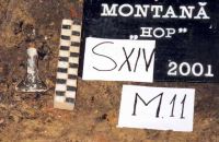 Cronica Cercetărilor Arheologice din România, Campania 2001. Raportul nr. 181.<br /> Sectorul Imagini-detaliu-necropola.