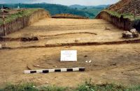Cronica Cercetărilor Arheologice din România, Campania 2001. Raportul nr. 181.<br /> Sectorul Imagini-detaliu-necropola.