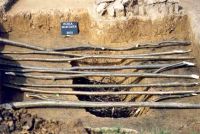 Cronica Cercetărilor Arheologice din România, Campania 2001. Raportul nr. 181.<br /> Sectorul Imagini-detaliu-necropola.