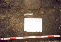 Cronica Cercetărilor Arheologice din România, Campania 2001. Raportul nr. 181.<br /> Sectorul Imagini-detaliu-necropola.