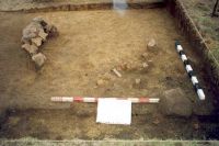 Cronica Cercetărilor Arheologice din România, Campania 2001. Raportul nr. 181.<br /> Sectorul Imagini-detaliu-necropola.