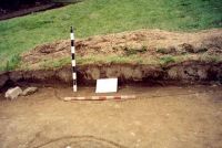 Cronica Cercetărilor Arheologice din România, Campania 2001. Raportul nr. 181.<br /> Sectorul Imagini-detaliu-necropola.