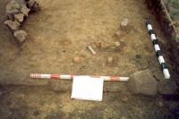 Cronica Cercetărilor Arheologice din România, Campania 2001. Raportul nr. 181.<br /> Sectorul Imagini-detaliu-necropola.