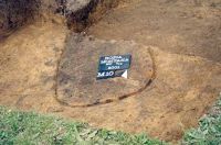 Cronica Cercetărilor Arheologice din România, Campania 2001. Raportul nr. 181.<br /> Sectorul Imagini-detaliu-necropola.
