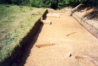 Cronica Cercetărilor Arheologice din România, Campania 2001. Raportul nr. 181.<br /> Sectorul Imagini-detaliu-necropola.