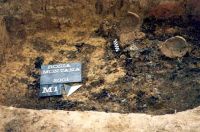 Cronica Cercetărilor Arheologice din România, Campania 2001. Raportul nr. 181.<br /> Sectorul Imagini-detaliu-necropola.