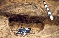 Cronica Cercetărilor Arheologice din România, Campania 2001. Raportul nr. 181.<br /> Sectorul Imagini-detaliu-necropola.