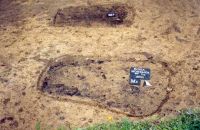 Cronica Cercetărilor Arheologice din România, Campania 2001. Raportul nr. 181.<br /> Sectorul Imagini-detaliu-necropola.