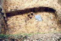 Cronica Cercetărilor Arheologice din România, Campania 2001. Raportul nr. 181.<br /> Sectorul Imagini-detaliu-necropola.