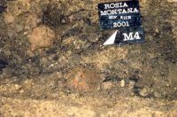 Cronica Cercetărilor Arheologice din România, Campania 2001. Raportul nr. 181.<br /> Sectorul Imagini-detaliu-necropola.