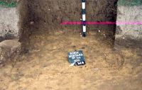 Cronica Cercetărilor Arheologice din România, Campania 2001. Raportul nr. 181.<br /> Sectorul Imagini-detaliu-necropola.
