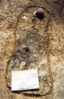 Cronica Cercetărilor Arheologice din România, Campania 2001. Raportul nr. 181.<br /> Sectorul Imagini-detaliu-necropola.