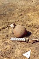 Cronica Cercetărilor Arheologice din România, Campania 2001. Raportul nr. 181.<br /> Sectorul Imagini-detaliu-necropola.
