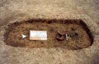 Cronica Cercetărilor Arheologice din România, Campania 2001. Raportul nr. 181.<br /> Sectorul Imagini-detaliu-necropola.