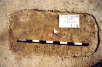 Cronica Cercetărilor Arheologice din România, Campania 2001. Raportul nr. 181.<br /> Sectorul Imagini-detaliu-necropola.