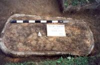 Cronica Cercetărilor Arheologice din România, Campania 2001. Raportul nr. 181.<br /> Sectorul Imagini-detaliu-necropola.