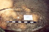 Cronica Cercetărilor Arheologice din România, Campania 2001. Raportul nr. 181.<br /> Sectorul Imagini-detaliu-necropola.