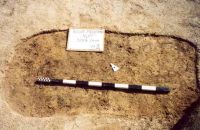 Cronica Cercetărilor Arheologice din România, Campania 2001. Raportul nr. 181.<br /> Sectorul Imagini-detaliu-necropola.