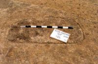 Cronica Cercetărilor Arheologice din România, Campania 2001. Raportul nr. 181.<br /> Sectorul Imagini-detaliu-necropola.