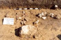 Cronica Cercetărilor Arheologice din România, Campania 2001. Raportul nr. 181.<br /> Sectorul Imagini-detaliu-necropola.