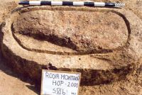 Cronica Cercetărilor Arheologice din România, Campania 2001. Raportul nr. 181.<br /> Sectorul Imagini-detaliu-necropola.