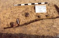 Cronica Cercetărilor Arheologice din România, Campania 2001. Raportul nr. 181.<br /> Sectorul Imagini-detaliu-necropola.