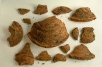 Cronica Cercetărilor Arheologice din România, Campania 2001. Raportul nr. 181.<br /> Sectorul Piese-inventar-necropola.
