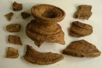 Cronica Cercetărilor Arheologice din România, Campania 2001. Raportul nr. 181.<br /> Sectorul Piese-inventar-necropola.