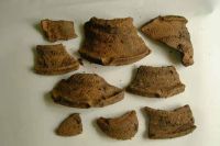 Cronica Cercetărilor Arheologice din România, Campania 2001. Raportul nr. 181.<br /> Sectorul Piese-inventar-necropola.