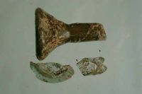 Cronica Cercetărilor Arheologice din România, Campania 2001. Raportul nr. 181.<br /> Sectorul Piese-inventar-necropola.