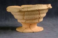 Cronica Cercetărilor Arheologice din România, Campania 2001. Raportul nr. 181.<br /> Sectorul Piese-inventar-necropola.
